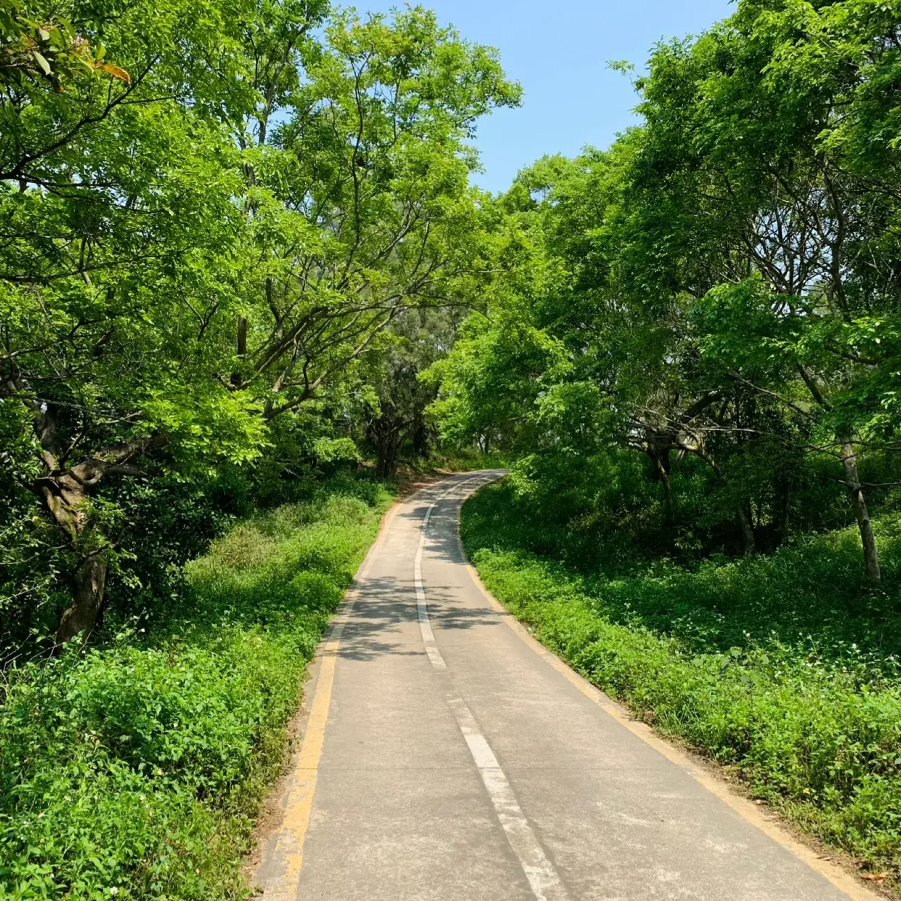 绿道